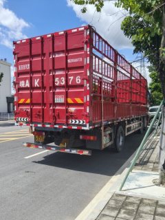 FAW Jiefang JH6 350 hp 6X2 9.5 m - ფოტო 5