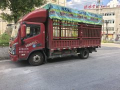 Foton Forland Navigator G5 150 hp 4X2 4.18 m - ფოტო 3