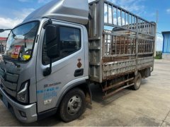 Foton Aumark S1 156 hp 4X2 4.17 m - ფოტო 2