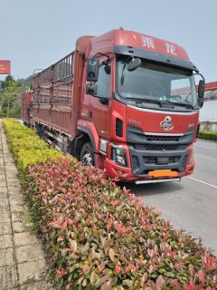 Dongfeng Liuzhou Chenglong H5 240 hp 4X2 6.8 m - ფოტო 2