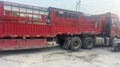 FAW Jiefang J6P 460 hp 6X4 - photo 2