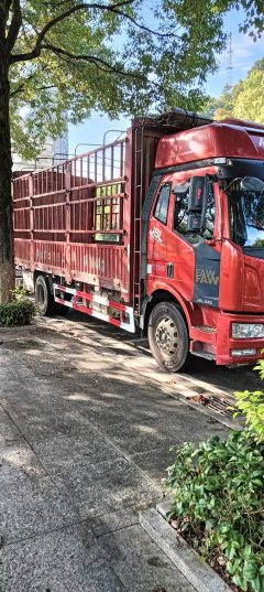 FAW Jiefang J6L 240 hp 6X2 6.8 m - ფოტო 2