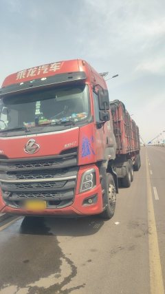 Dongfeng Liuzhou Chenglong H7 460 hp 6X4 - photo 4