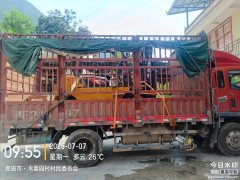 SINOTRUK HOWO Light Duty Truck Hanjiang 170 hp 4X2 5.2 m - ფოტო 3