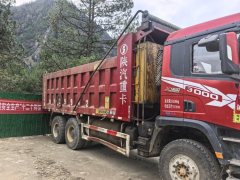 Shacman Delong X3000 460 hp 8X2 6.2 m - фото 2