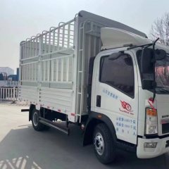 SINOTRUK HOWO Light Duty Truck Hanjiang 156 hp 4X2 4.15 m - ფოტო 2