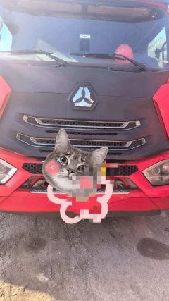 Sinotruk Hohan J7G 430 hp 6X4 - фото 3
