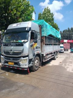 Foton Ollin Hornet 220 hp 4X2 6.1 m - ფოტო 1