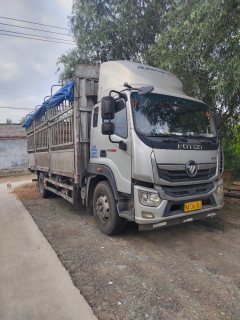 Foton Ollin Hornet 220 hp 4X2 6.8 m - ფოტო 2