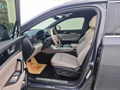 2024 BYD Tang PHEV 2024 1.5T AT DM-P Glory 215KM 4WDExclusive #5