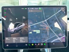 2020 Tesla Model 3 2020 Facelift StandardBattery lifeRWDUpgradeEdition EV #3