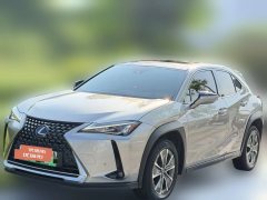 2021 Lexus UX New Energy 2020 300e pure·EnjoyEdition EV (Imported) #7