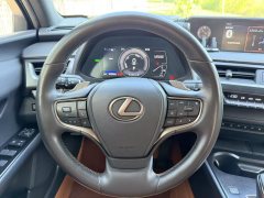 2021 Lexus UX New Energy 2020 300e pure·EnjoyEdition EV (Imported) #11