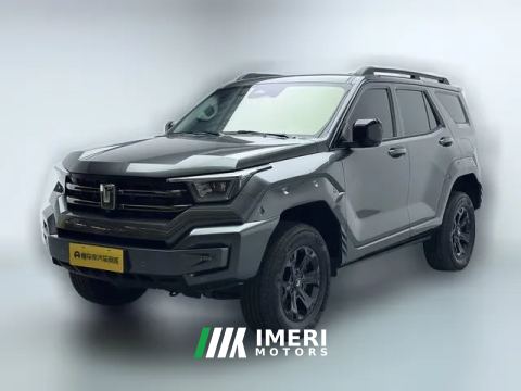 2024 Tank 400 New Energy 2024 2.0T AT Hi4-T Off-road