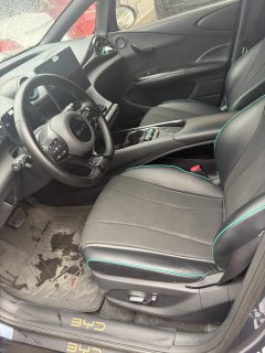 2024 BYD Dolphin 2024 Glory 420km freeEdition #6