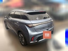 2024 BYD Dolphin 2024 Glory 420km freeEdition #2