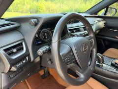 2021 Lexus UX New Energy 2020 300e pure·EnjoyEdition EV (Imported) #12