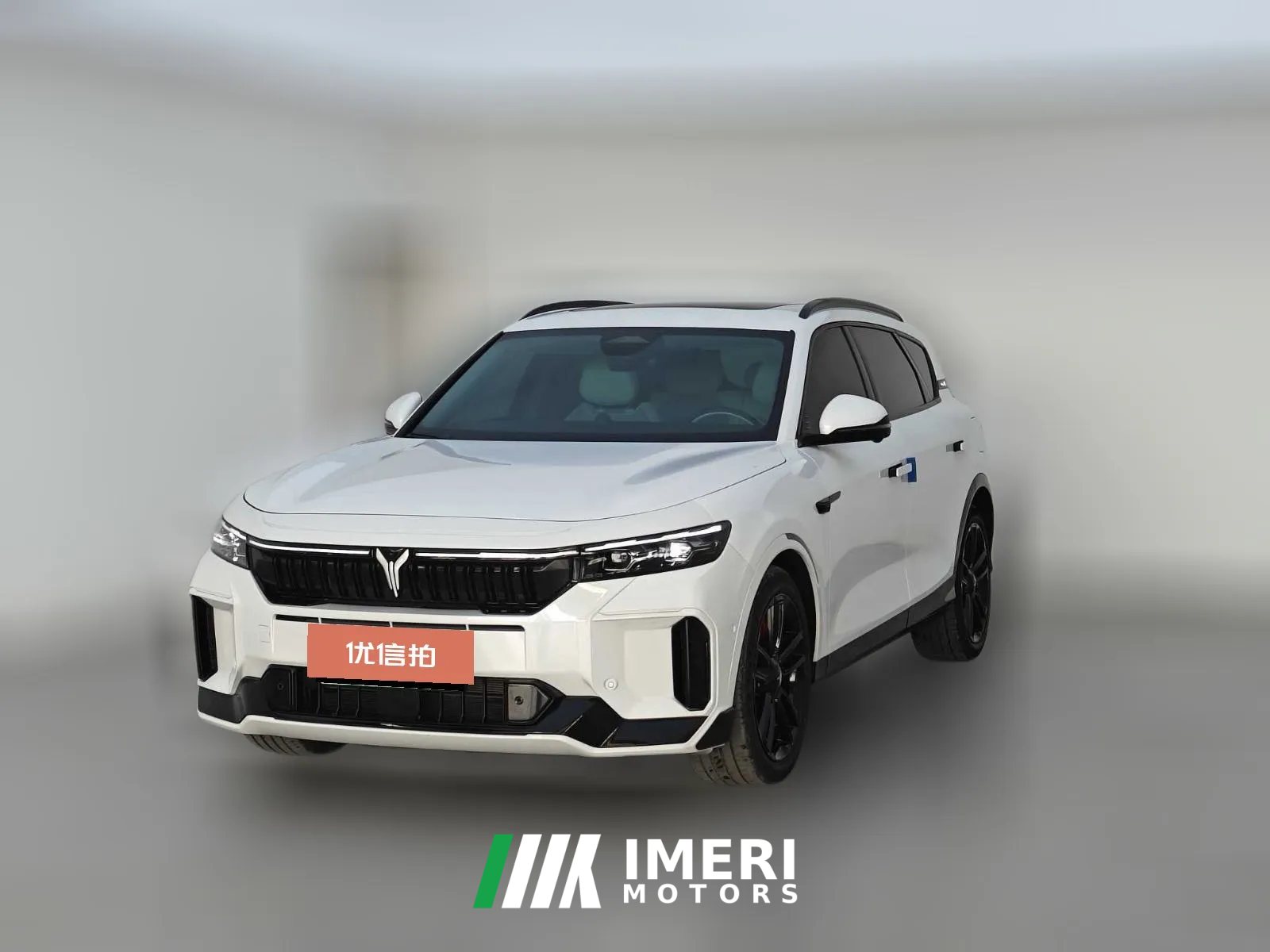 2024 Voyah Free 2025 318 318km RWDTravel aroundEdition