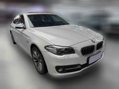 2016 BMW 5 Series 2017 2.0T AT 525LiLeading #10