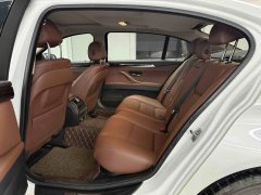 2016 BMW 5 Series 2017 2.0T AT 525LiLeading #6
