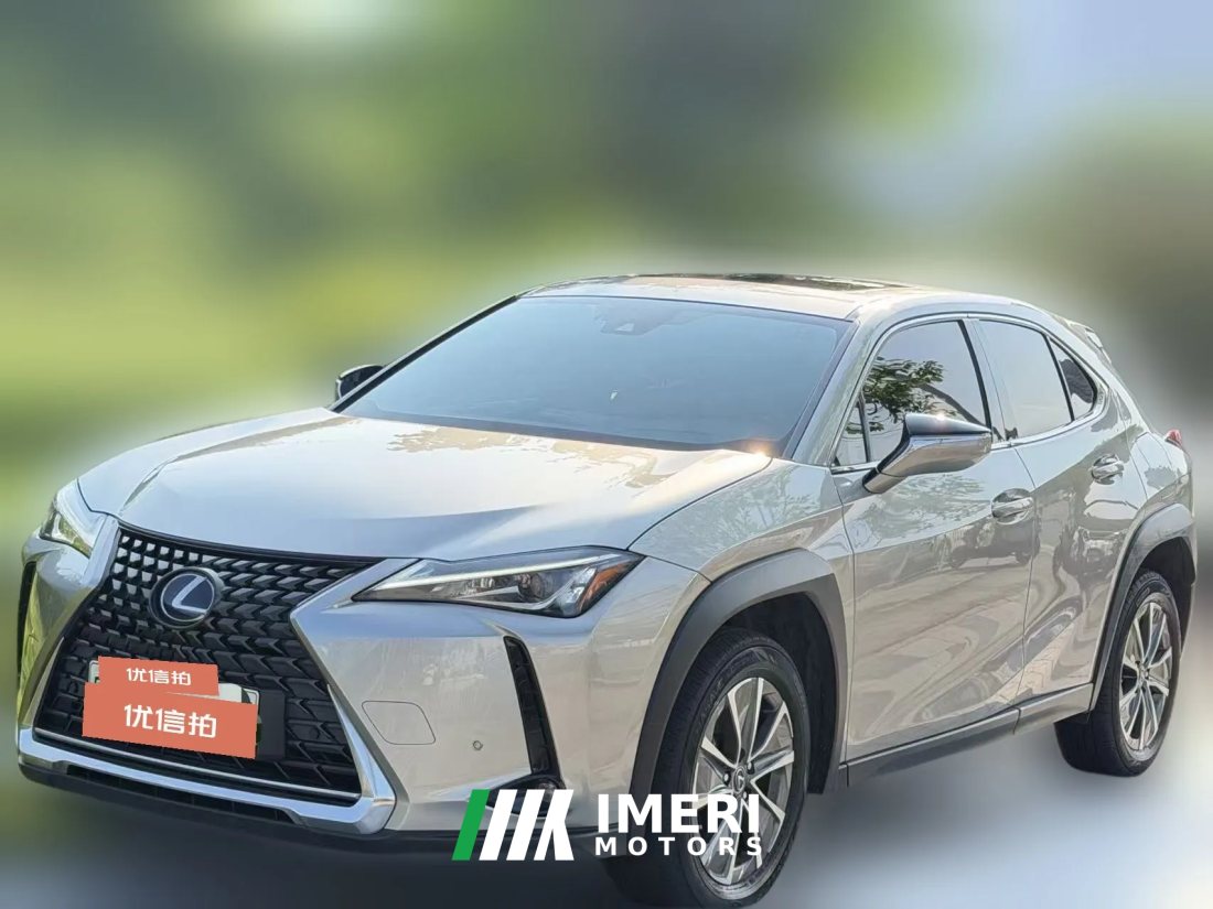 2021 Lexus UX New Energy 2020 300e pure·EnjoyEdition EV (Imported)