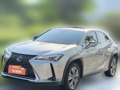 2021 Lexus UX New Energy 2020 300e pure·EnjoyEdition EV (Imported) #1