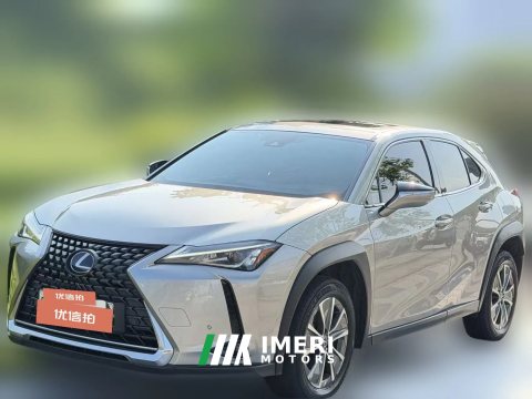 2021 Lexus UX New Energy 2020 300e pure·EnjoyEdition EV (Imported)