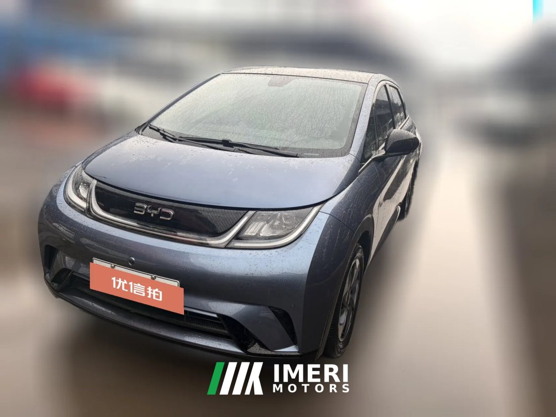 2024 BYD Dolphin 2024 Glory 420km freeEdition