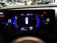 2024 Voyah Free 2025 318 318km RWDTravel aroundEdition #3