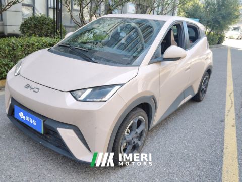 2023 BYD Seagull 305km Free Version - ავტომობილი ჩინეთიდან