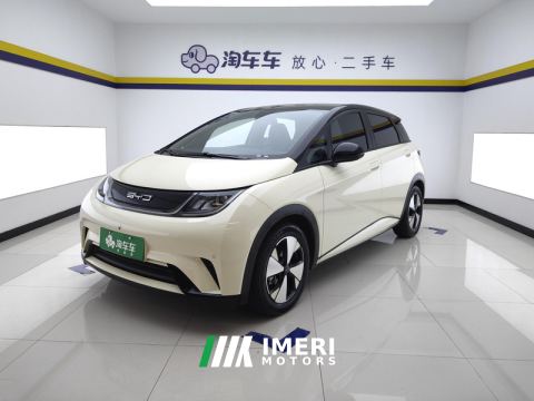 2023 BYD Dolphin 420km Stylish Edition - ავტომობილი ჩინეთიდან