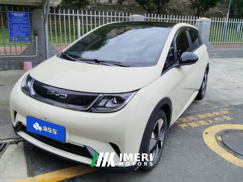 2023 BYD Dolphin 420km Stylish Edition - ავტომობილი ჩინეთიდან