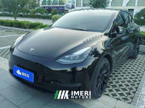 2021 Tesla Model Y Standard endurance rear-wheel drive - ავტომობილი ჩინეთიდან