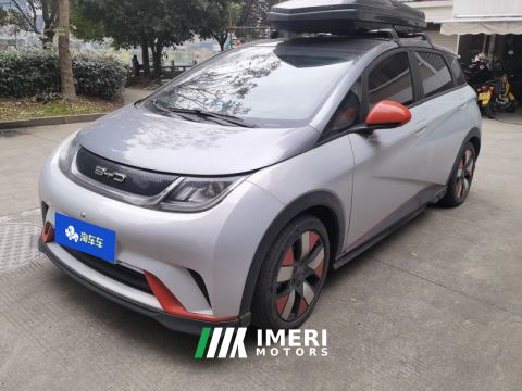 2021 BYD Dolphin 401km Knight Edition - ავტომობილი ჩინეთიდან