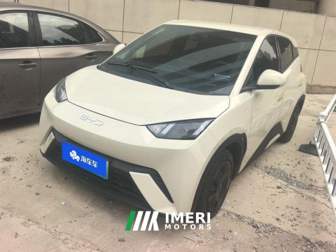 2023 BYD Seagull 305km Vitality Edition - car from China