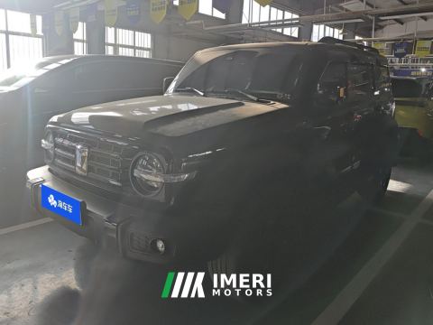2024 Tank 300 2.0T Challenger - car from China
