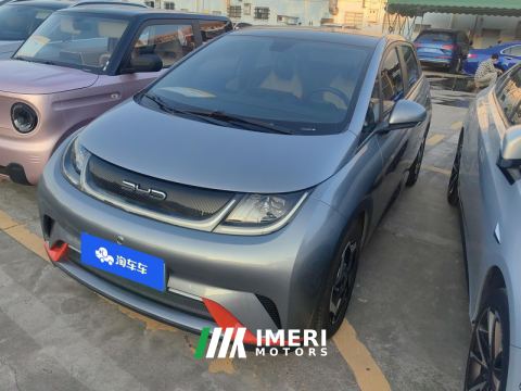 2021 BYD Dolphin 405km Stylish Edition - car from China