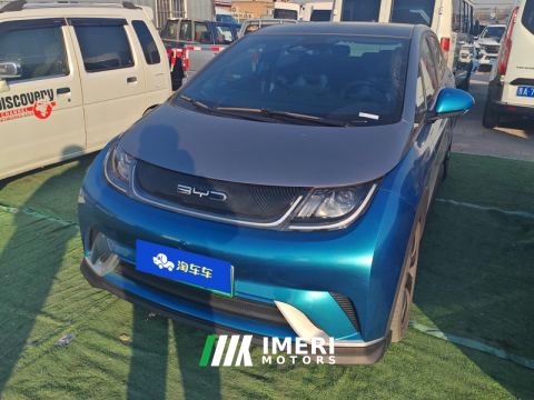 2021 BYD Dolphin 401km Knight Edition - ავტომობილი ჩინეთიდან
