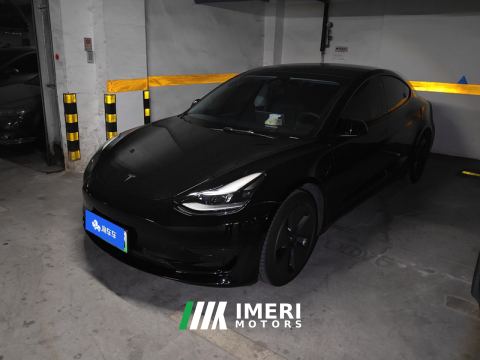 2021 Tesla Model 3 Standard Range Edition 3D6 - car from China