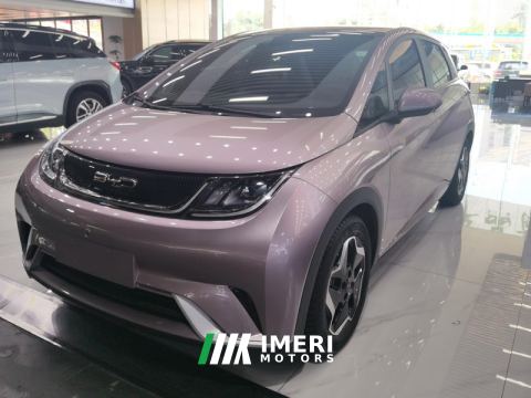 2021 BYD Dolphin 405km Stylish Edition - ავტომობილი ჩინეთიდან