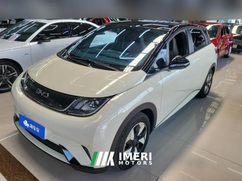 2024 BYD Dolphin Honor Edition 420km Free Version - автомобиль из Китая