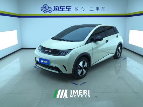 2023 BYD Dolphin 420km Stylish Edition - автомобиль из Китая