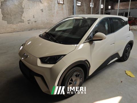 2025 BYD Seagull 305km Vitality Edition - car from China