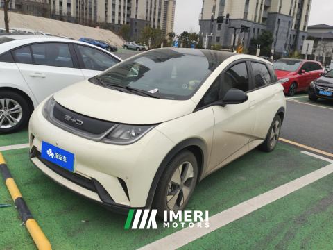 2023 BYD Dolphin 420km Stylish Edition - ავტომობილი ჩინეთიდან