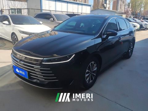 2023 BYD Destroyer 05 DM-i Champion Edition 1.5L 55km Luxury Edition - ავტომობილი ჩინეთიდან