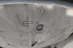 Trunk Floor
