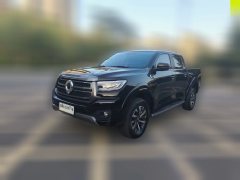 2024 Great Wall Great Wall Pao 2024 2.4TPassengerEditionATDiesel4WDComfort #1