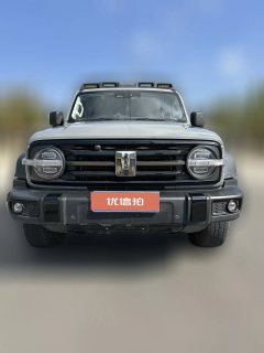 2022 Tank 300 2021 Off-road 2.0TAT conqueror #2