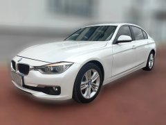 2016 BMW 3 Series 2016 2.0T AT 320LiEntry #1