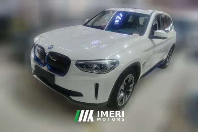 2021 BMW iX3 2021 Leading